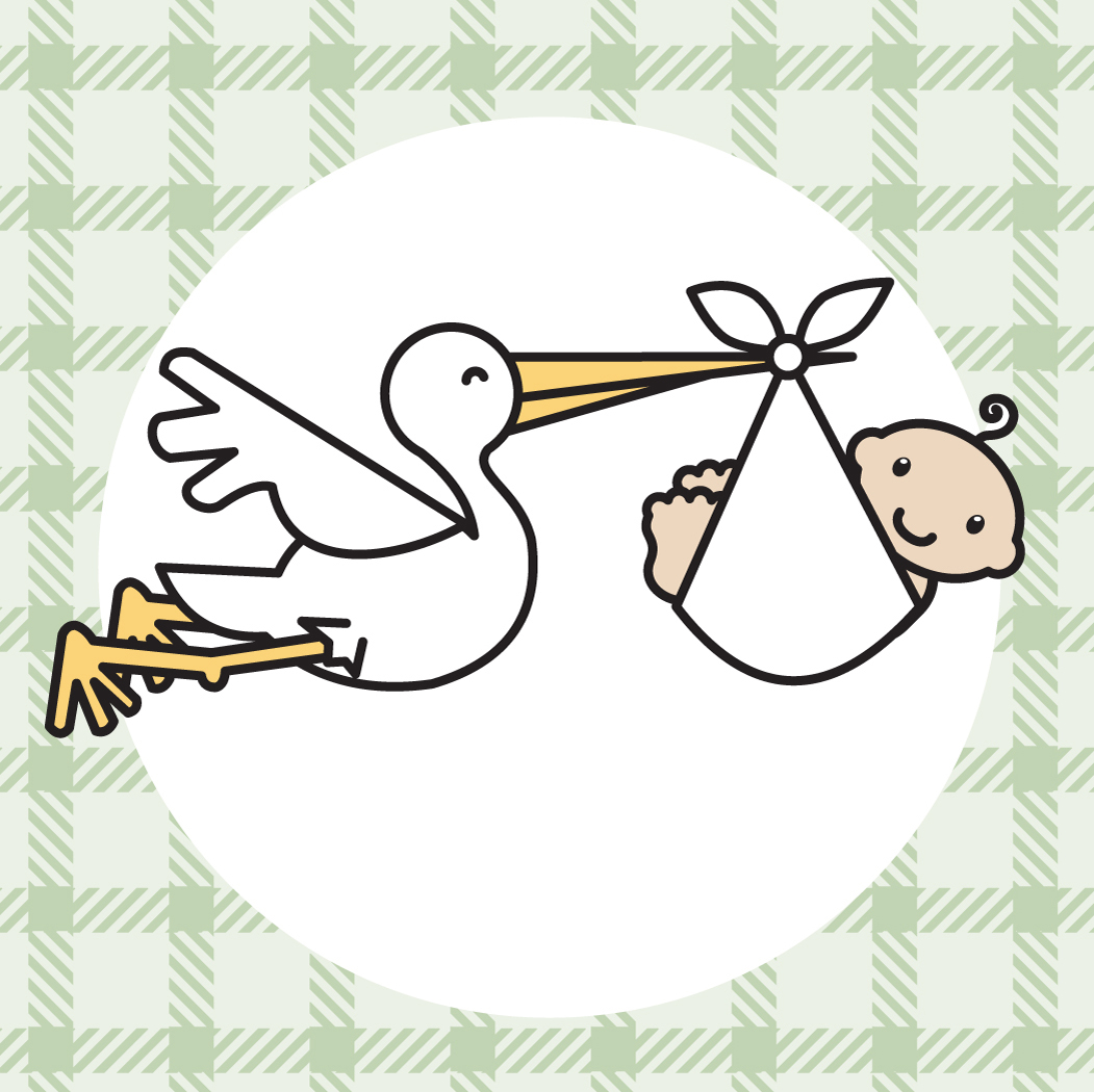 Stork